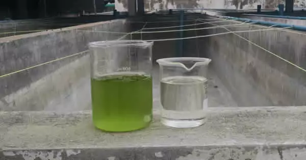 Algae Harvesting Centrifuge Results