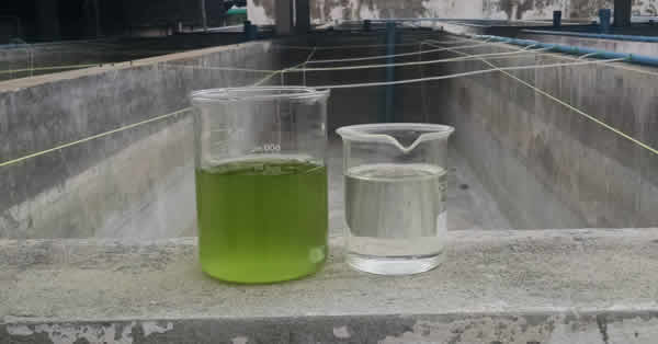 Algae Harvesting Centrifuge Results