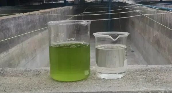 Algae-Harvesting-Centrifuge-Results